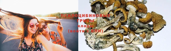 СК Россошь