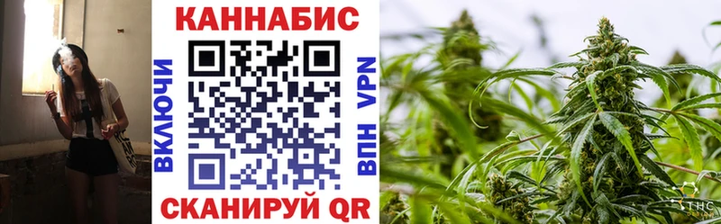 купить закладку  Братск  Конопля Amnesia 
